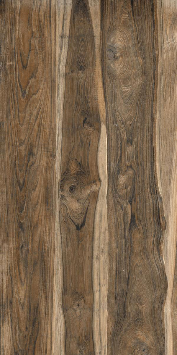 CHOCONUT WOOD F3